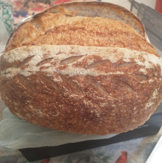 JoeKidd Sourdough.jpg